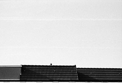 Hunting scene.

Photographed on Agfaphoto APX 100 with Minolta Dynax 7000i

#analogforever
#analogphotography
#bnw
#nonazis