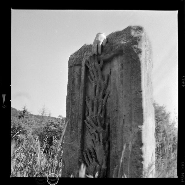 Hands

(full negative | cropped 3:4)

Photographed on Kentmere 100 with Hasselblad 500 C/M.
Stone sculpture: Kunstwanderweg Kleinbreitenbach
Hand (alive): @dark.dipsipictures 

#analogforever 
#analogphotography 
#kentmere100 
#hasselblad500cm 
#shootfilmnotbullets 
#fckafd